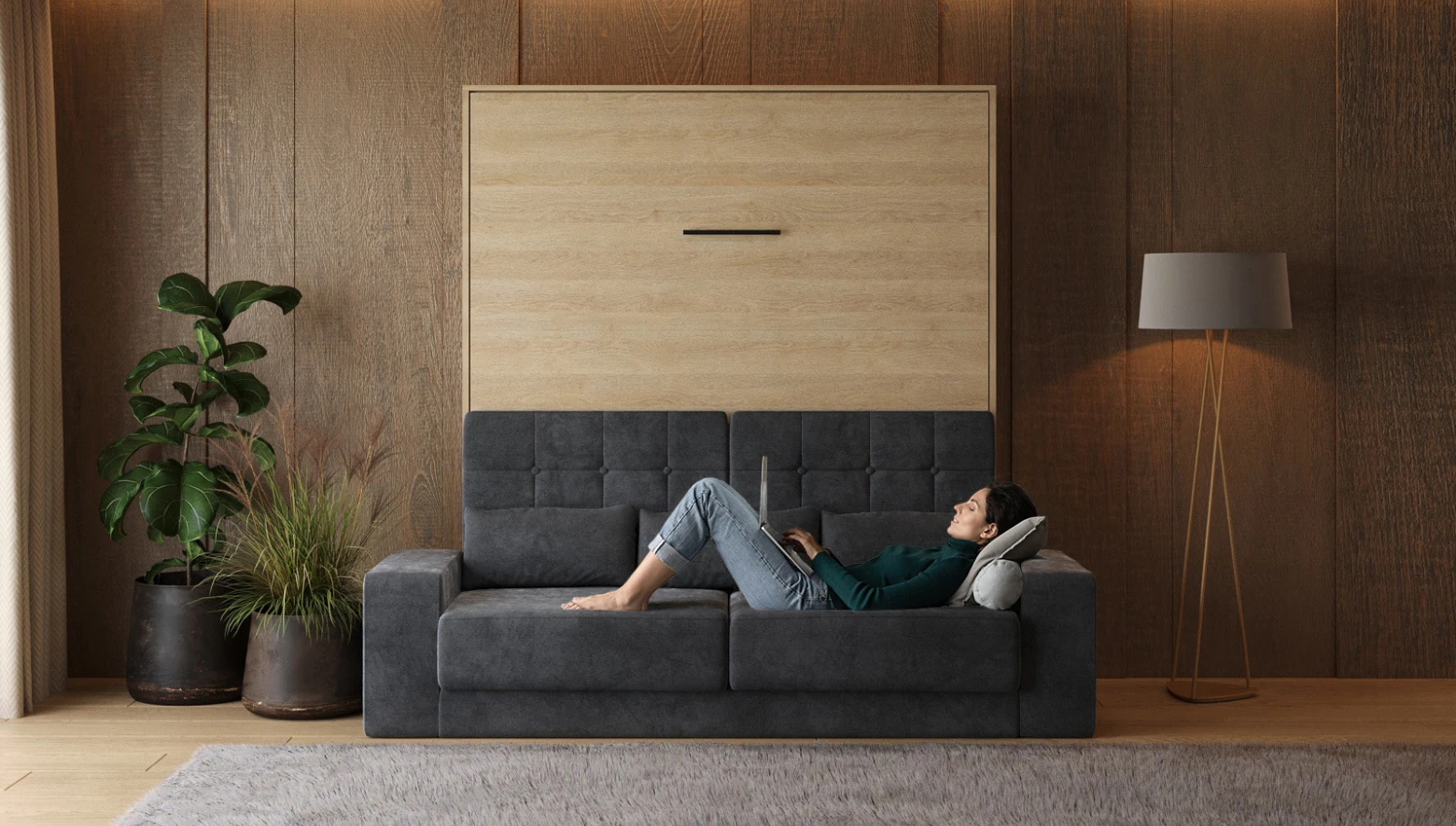 Murphy Beds with Sofa picture 1